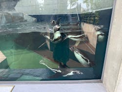 AQUARIUM × ART　atoaに投稿された画像（2025/6/16）