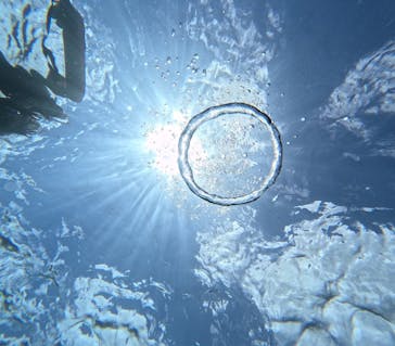  マリンショップHAPPYに投稿された画像（2025/6/16）