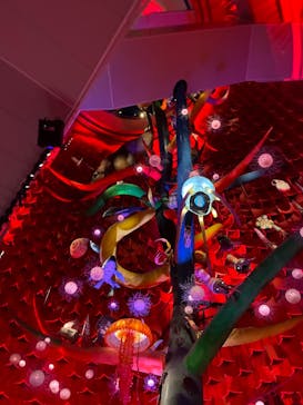 万博記念公園に投稿された画像（2025/6/16）