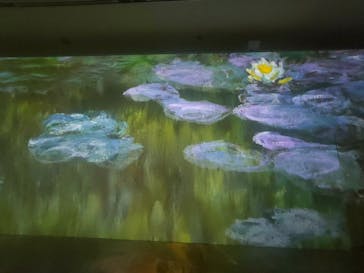 モネ　イマーシブ・ジャーニー　僕が見た光に投稿された画像（2025/6/16）