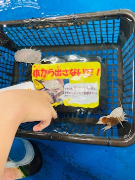 竹島水族館に投稿された画像（2025/6/16）