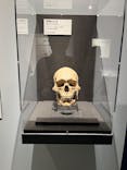特別展「古代DNA－日本人のきた道」（国立科学博物館）に投稿された画像（2025/6/17）