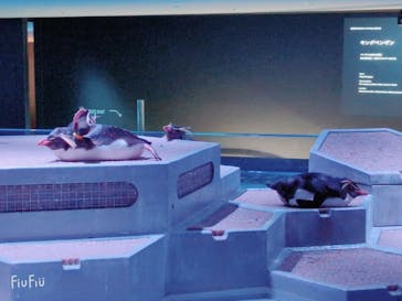 AOAO SAPPOROに投稿された画像（2025/6/16）