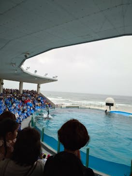 鴨川シーワールドに投稿された画像（2025/6/16）