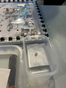 しながわ水族館に投稿された画像（2025/6/17）