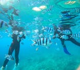 沖縄ダイビングショップシーモールに投稿された画像（2025/6/17）