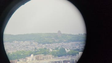 京都水族館×ニデック京都タワーに投稿された画像（2025/6/17）