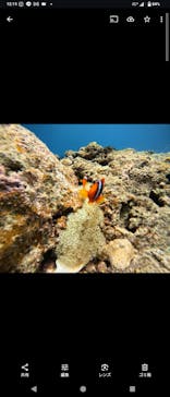 武藤潜水に投稿された画像（2025/6/17）