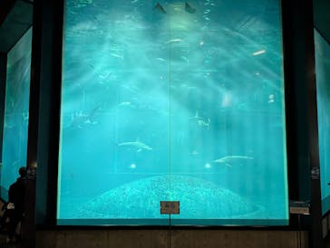 葛西臨海水族園に投稿された画像（2025/6/17）