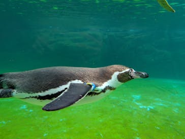 葛西臨海水族園に投稿された画像（2025/6/17）