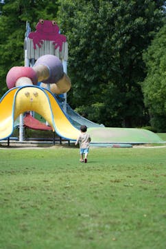 万博記念公園に投稿された画像（2025/6/17）