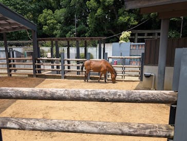 恩賜上野動物園に投稿された画像（2025/6/17）