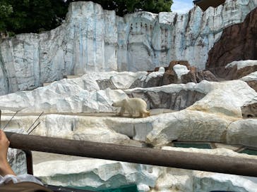 恩賜上野動物園に投稿された画像（2025/6/17）