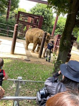 恩賜上野動物園に投稿された画像（2025/6/17）
