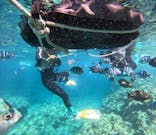 武藤潜水に投稿された画像（2025/6/17）