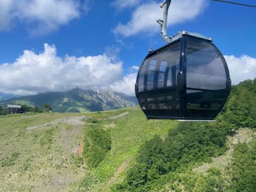 白馬岩岳マウンテンリゾートに投稿された画像（2025/6/17）