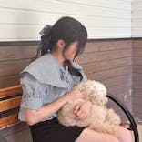 世界の名犬牧場に投稿された画像（2025/6/17）