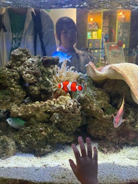 京都水族館に投稿された画像（2025/6/17）