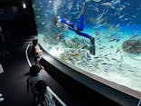 サンシャイン水族館に投稿された画像（2025/6/17）