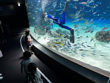 サンシャイン水族館に投稿された画像（2025/6/17）