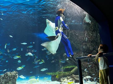 サンシャイン水族館に投稿された画像（2025/6/17）