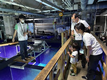 サンシャイン水族館に投稿された画像（2025/6/17）
