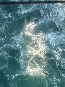 徳島県立 渦の道に投稿された画像（2025/6/17）