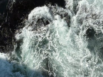 徳島県立 渦の道に投稿された画像（2025/6/17）