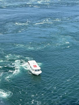 徳島県立 渦の道に投稿された画像（2025/6/17）