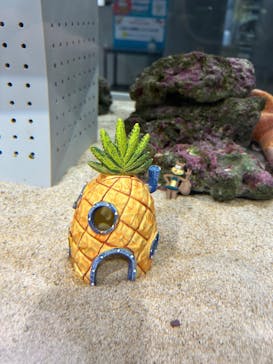 AOAO SAPPOROに投稿された画像（2025/6/17）