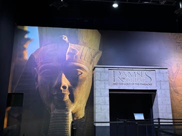 ACN ラムセス大王展 ファラオたちの黄金に投稿された画像（2025/6/17）