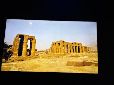 ACN ラムセス大王展 ファラオたちの黄金に投稿された画像（2025/6/17）