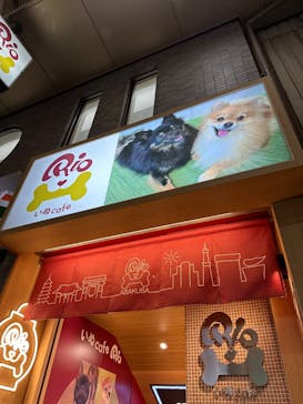 いぬカフェRio 浅草店に投稿された画像（2025/6/17）