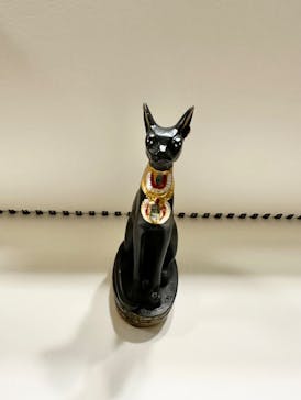 IMMERSIVE JOURNEYに投稿された画像（2025/6/17）