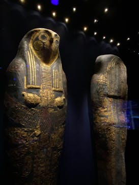 ACN ラムセス大王展 ファラオたちの黄金に投稿された画像（2025/6/17）