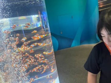 鴨川シーワールドに投稿された画像（2025/6/17）