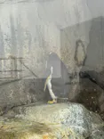 仙台うみの杜水族館に投稿された画像（2025/6/18）