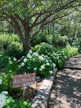 横浜・八景島シーパラダイス　プレジャーランドに投稿された画像（2025/6/17）