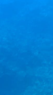 ベイクルーズ・宮古島 モンブランに投稿された画像（2025/6/17）