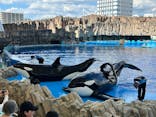 名古屋港水族館に投稿された画像（2025/6/18）