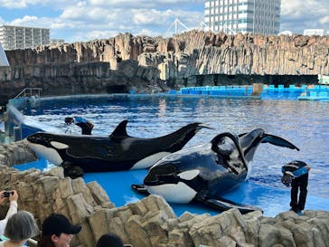 名古屋港水族館に投稿された画像（2025/6/17）