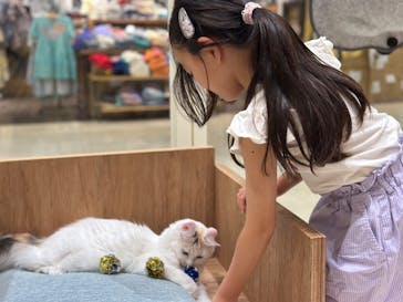 Cat Café MOFF コクーンシティさいたま新都心店に投稿された画像（2025/6/18）