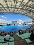 名古屋港水族館に投稿された画像（2025/6/18）