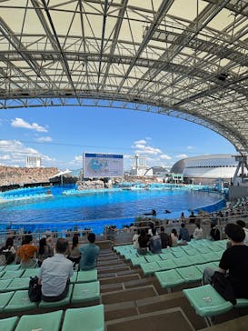 名古屋港水族館に投稿された画像（2025/6/18）