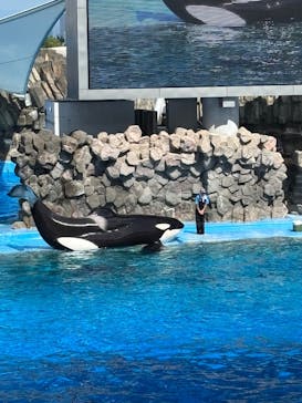 名古屋港水族館に投稿された画像（2025/6/18）