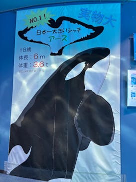 名古屋港水族館に投稿された画像（2025/6/18）