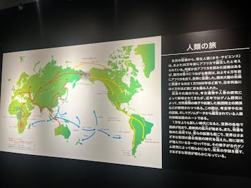 特別展「古代DNA－日本人のきた道」（国立科学博物館）に投稿された画像（2025/6/18）