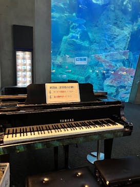 大分マリーンパレス水族館 「うみたまご」に投稿された画像（2025/6/18）