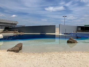 大分マリーンパレス水族館 「うみたまご」に投稿された画像（2025/6/18）