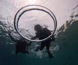 青の洞窟専門店　沖縄ダイビングショップ和に投稿された画像（2025/6/18）